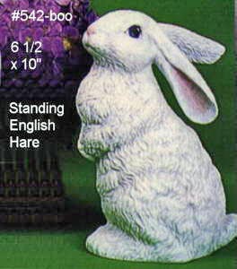 English Hare- Standing