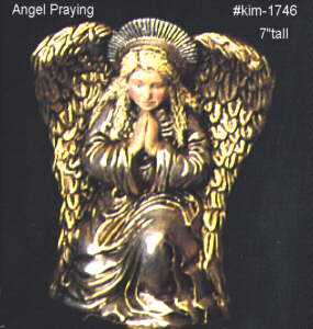 Angel #1746-kim