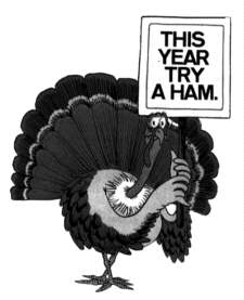 turkey design